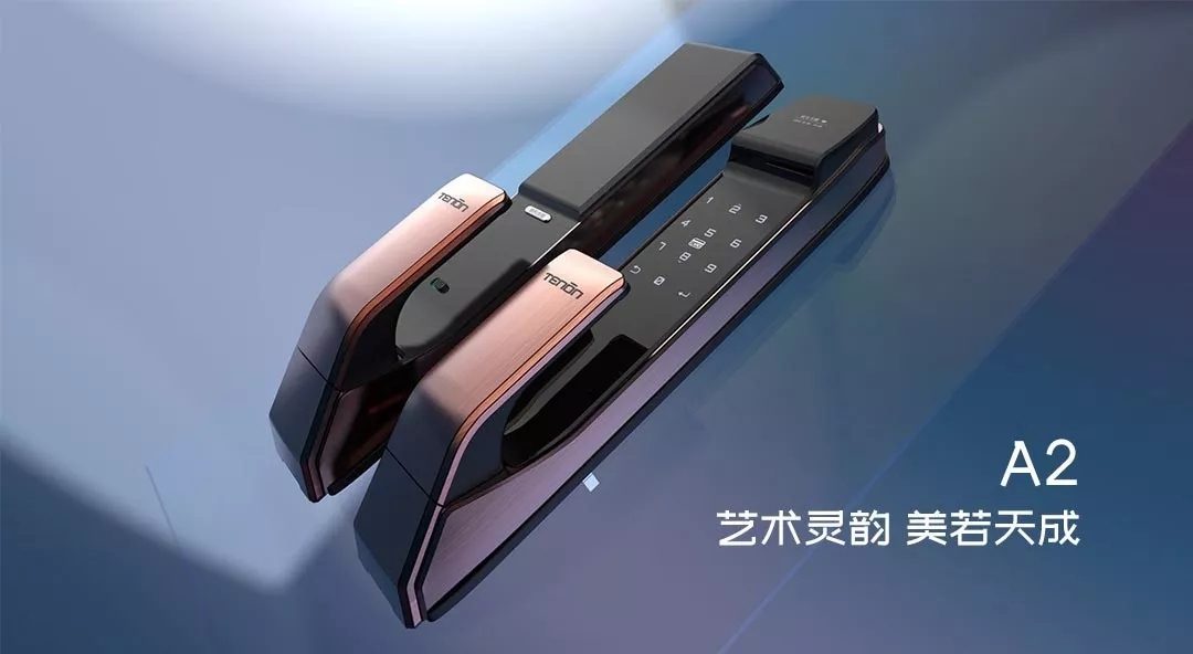 2019紫珺保大事记｜这些精彩瞬间值得被记住！